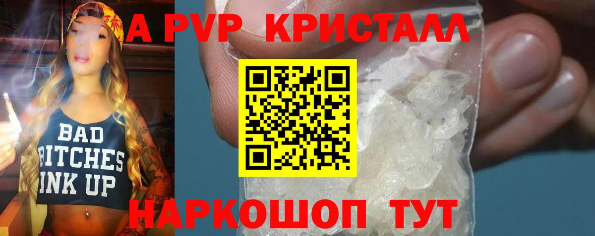 A PVP СК КРИС Гусев