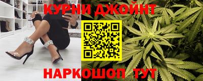 индика Лесосибирск
