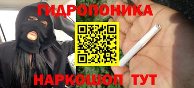 индика Лесосибирск