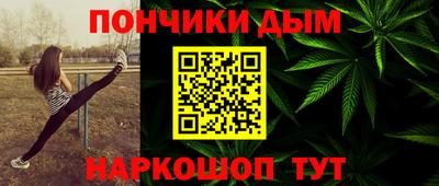 индика Лесосибирск