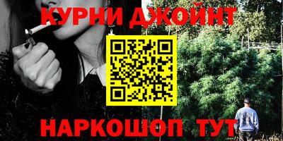 индика Лесосибирск
